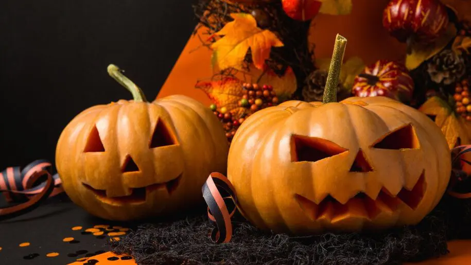 Fantasia pet no Halloween: confira dicas e opções