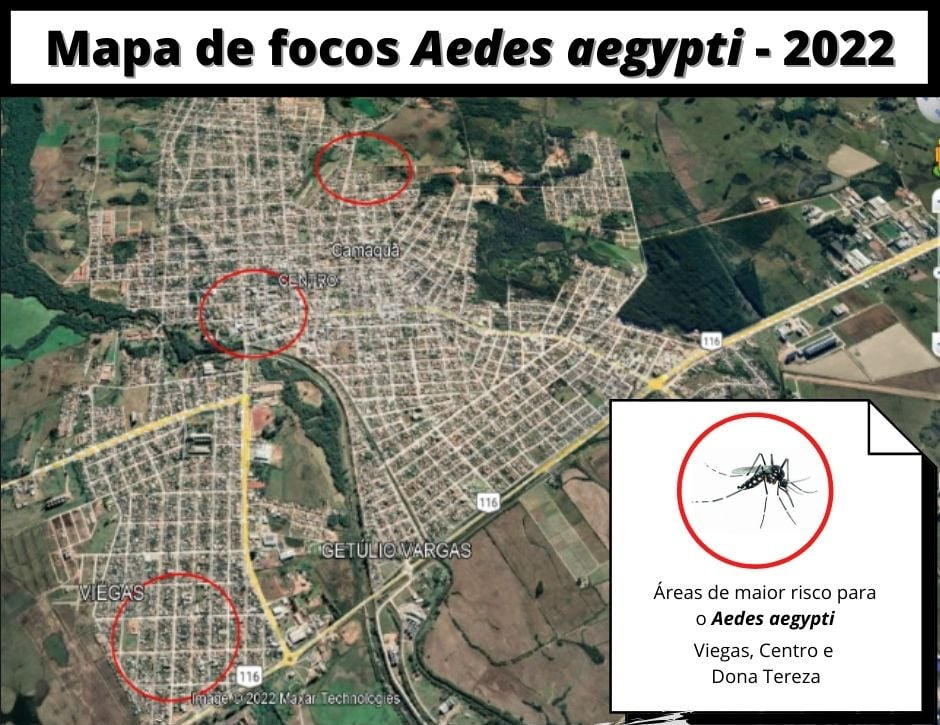 Outbreaks of Aedes aegypti in Camaquã