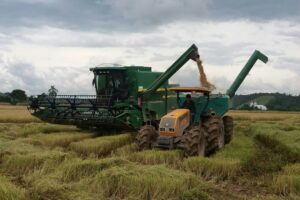 Região de Camaquã segue trabalhando na colheita do arroz