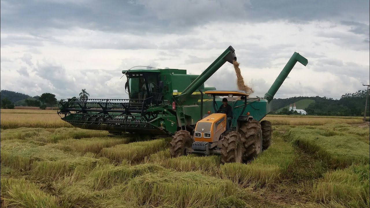 Região de Camaquã segue trabalhando na colheita do arroz