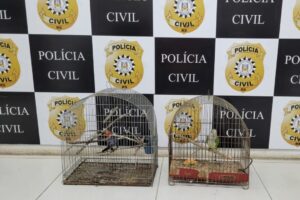 Mulher é acusada de crueldade contra animais no interior de São Lourenço do Sul