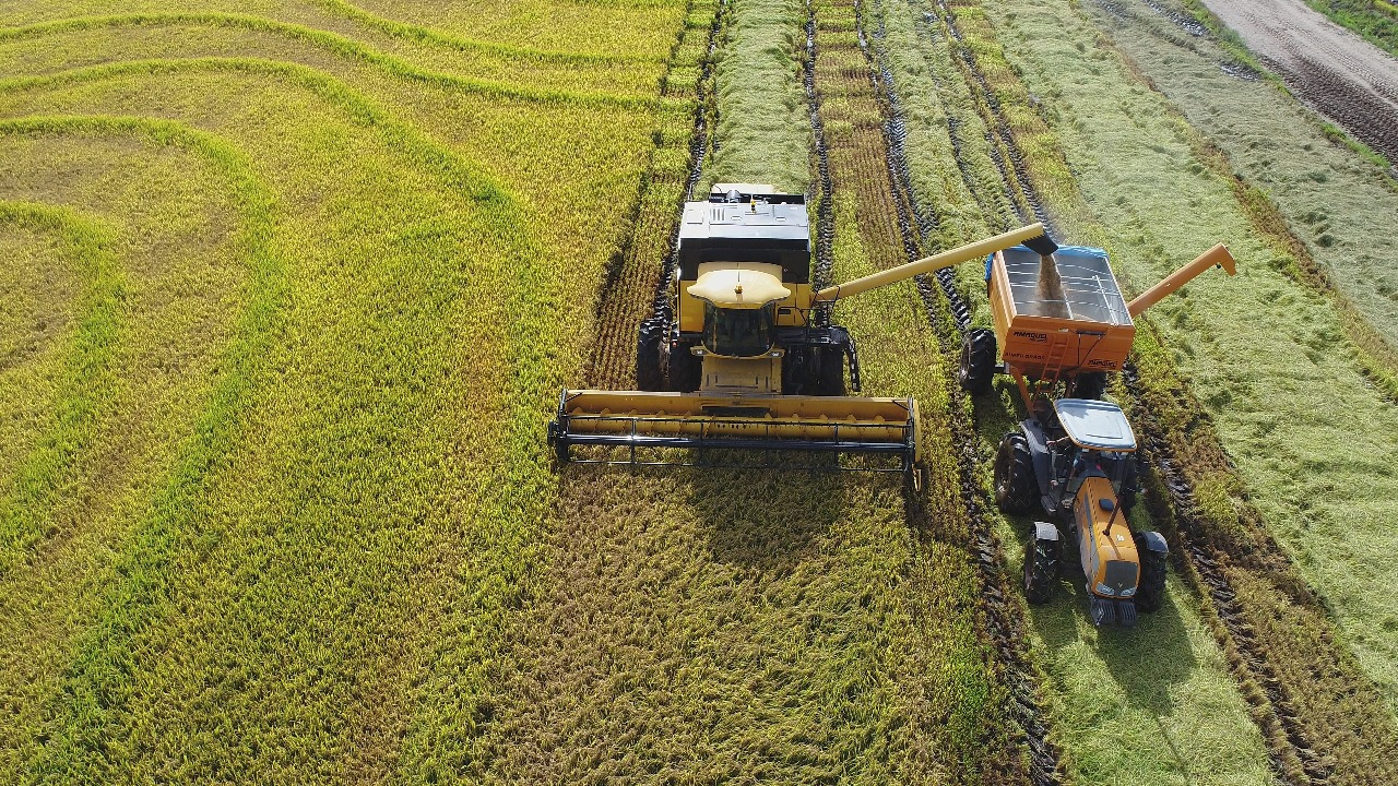 Região de Camaquã se aproxima da conclusão da colheita do arroz