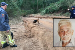 Corpo de Bombeiros segue busca por idoso de Cerro Grande do Sul que está desaparecido