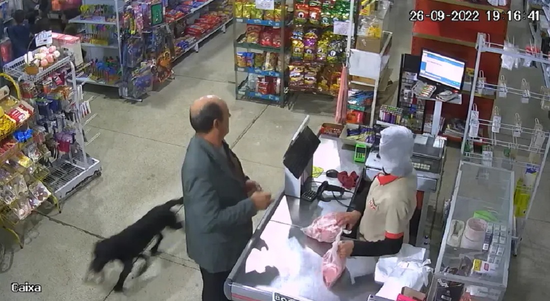 Câmeras flagram cachorro furtando saco de ração em mercado